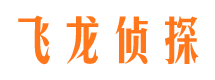 泾源飞龙私家侦探公司